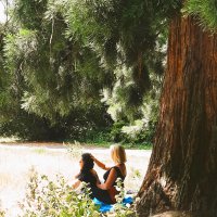 Biomagnetism, Reflexology, Reiki and EFT Tapping with  Susan Saloom Therapist at The Hale Clinic Harley Street London W1 and Shooters Hill London SE18